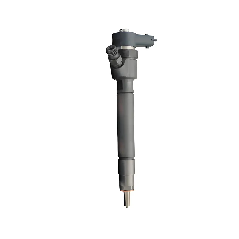 0445110251 0986435125 30750283 30731567 Fuel Injector for Volvo S60 V70 XC70 XC90 2.4 D5 0445110251 0986435125 30750283 30731567 Fuel Injector for Volvo S60 V70 XC70 XC90 2.4 D5
